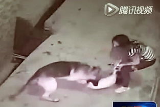 以结婚为目的的恋爱 若即若离把男人的心紧紧把握