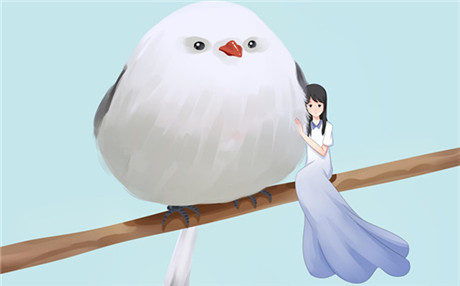 挽回前男友秘籍：如何判断前男友还爱自己？