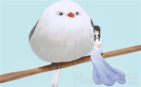 婚姻线分叉是什么意思