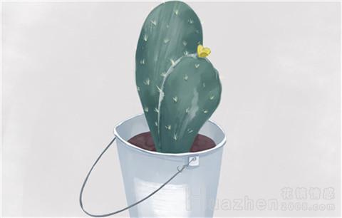 怎么进行情感挽回?如何赢得承诺?