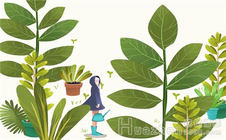 花镇投诉电话多少？恋爱中常犯的错误—要求多