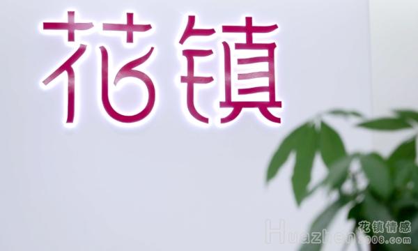 花镇情感有没有什么负面新闻或投诉？