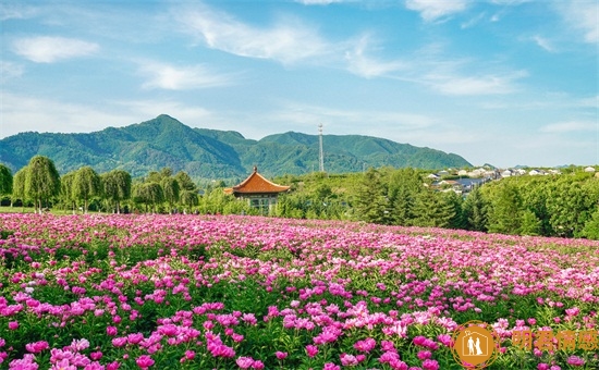 处女座的男生性格特点：注意细节，无微不至