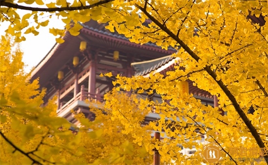 聊天幽默的技巧