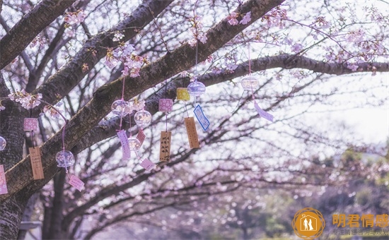 对付婆婆在背后说坏话有妙招,让她尊重你的选择!