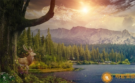 喜欢对别人耳提面命的星座