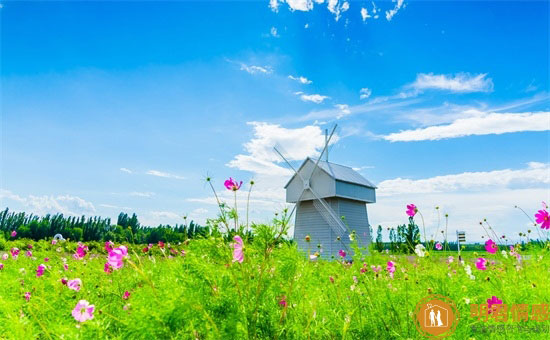 贺卡祝老师节日快乐怎么写