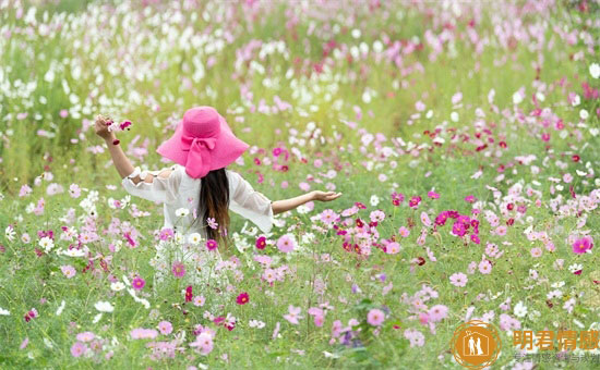 桂花香的句子发朋友圈,桂花文案短句干净治愈