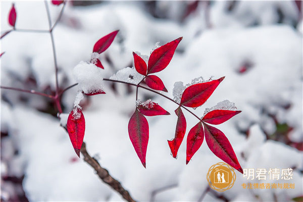 不俗气祝新婚的朋友圈,简单大气的新婚祝贺词