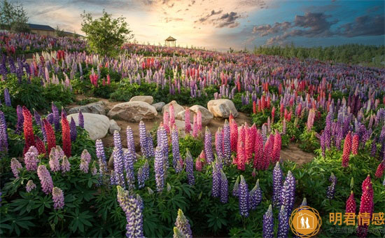 春暖花开的说说心情说说
