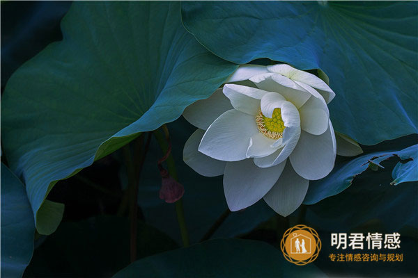 和老公走过的风风雨雨的说说,携手共度人生道路