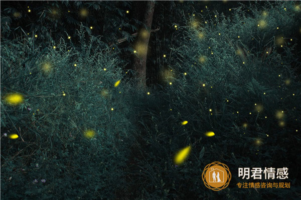 婚姻除了要有爱还需要什么,婚姻中相互支持共同成长