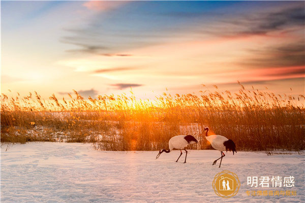 已婚女人梦见自己大肚子是什么意思
