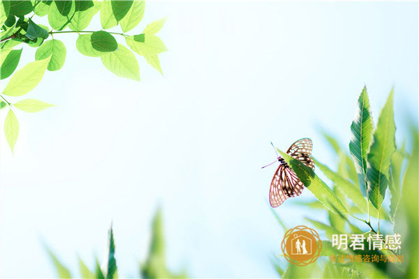 已婚女人梦见自己打死老鼠有什么征兆