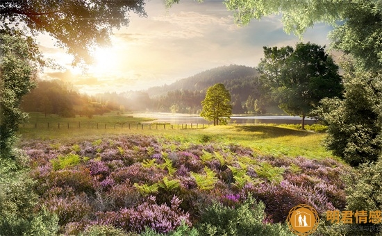 已婚女人梦见自己出轨被发现什么意思