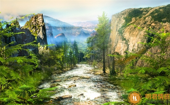 已婚女人梦见紫色茄子意味着什么