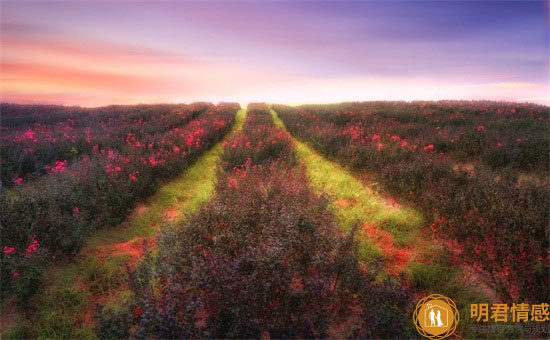 已婚女人梦见丈夫又娶老婆什么意思