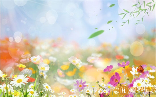 已婚女人梦见摘桃子意味着什么