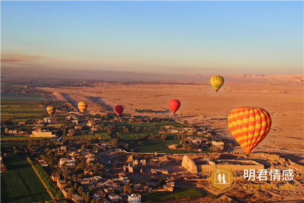 已婚女人梦见摘柿子预示什么