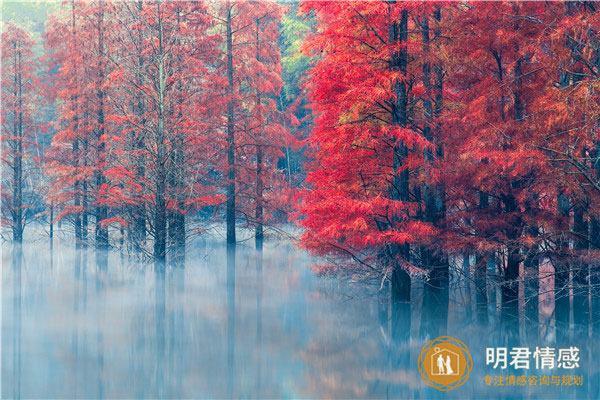 已婚女人梦见血是什么预兆,好不好