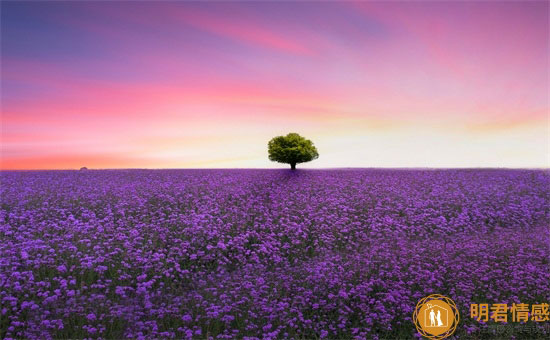 已婚女人梦见头发一抓一大把的掉怎么回事