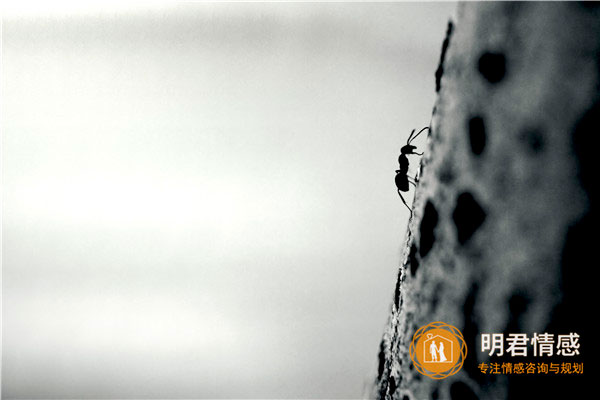 已婚女人梦见头发一抓一大把的掉什么意思