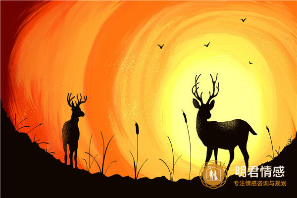 已婚女人梦见兔子是什么预兆周公解梦