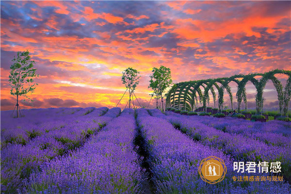 已婚女人梦见乌龟是什么意思,好不好