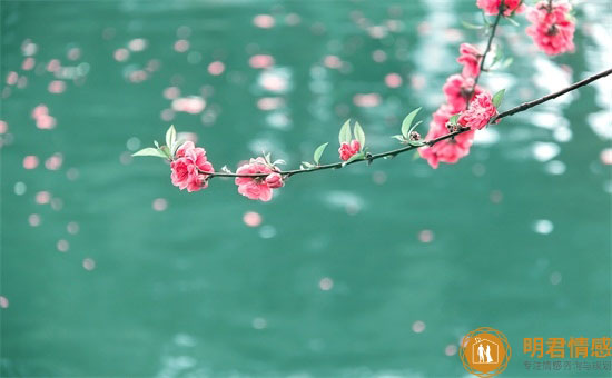 已婚女人梦见树上结满桃子有什么寓意