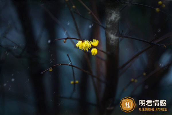 已婚女人梦见去旅游了有什么含义