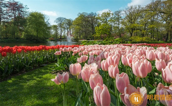 已婚女人梦见情人有别的女人意味着什么