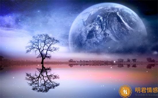 周公解梦已婚女人梦见牛是什么意思