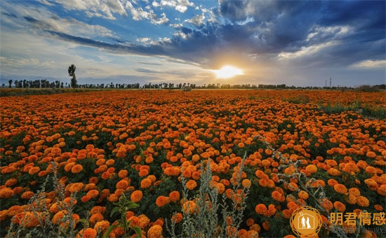 已婚女人梦见娘家姐姐代表什么含义