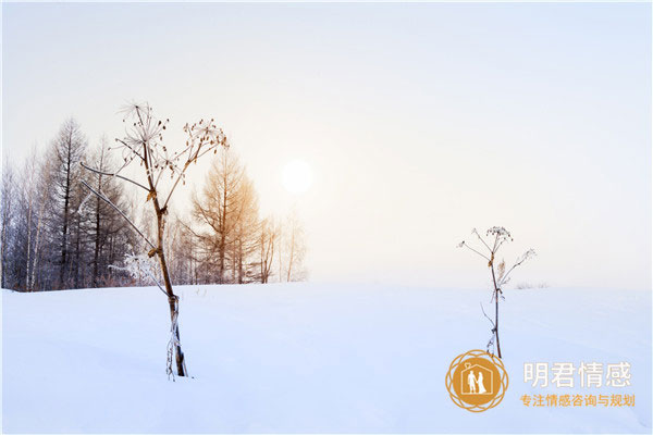 下雪发朋友圈短句,下雪的心情的经典句子