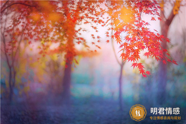 夫妻吵架要离婚该怎么挽回,迈出挽回婚姻的第一步